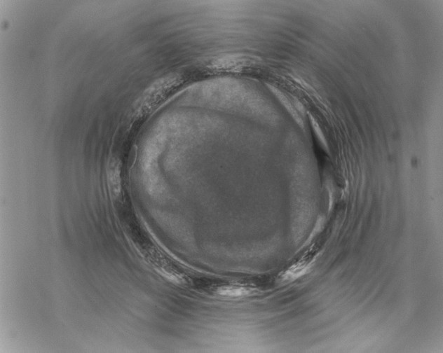 X0000069830504200606091449