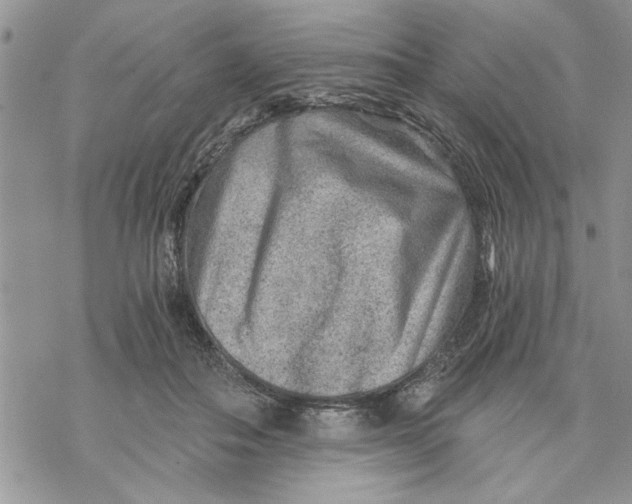 X0000069830506200606091449