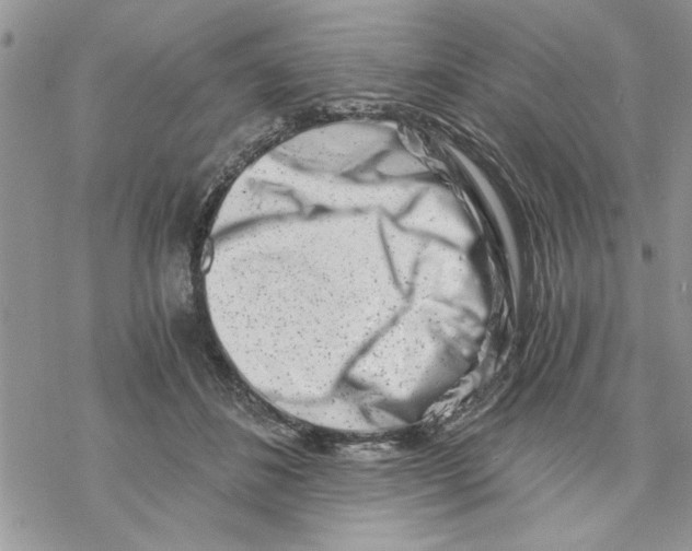 X0000069830508200606091449