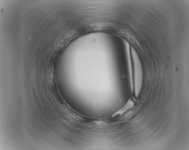 X0000069830509200606091449