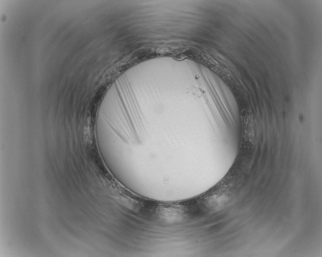 X0000069830510200606091449