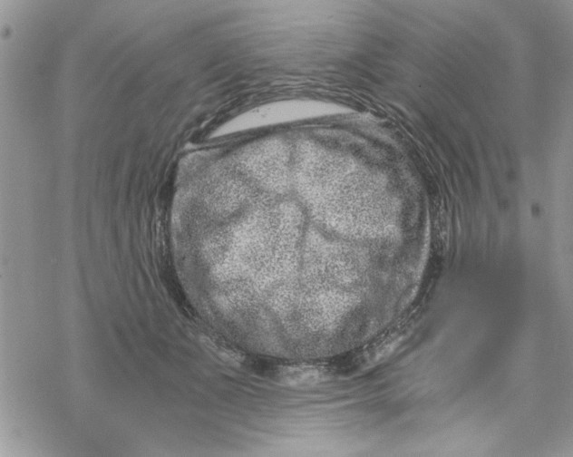 X0000069830511200606091449