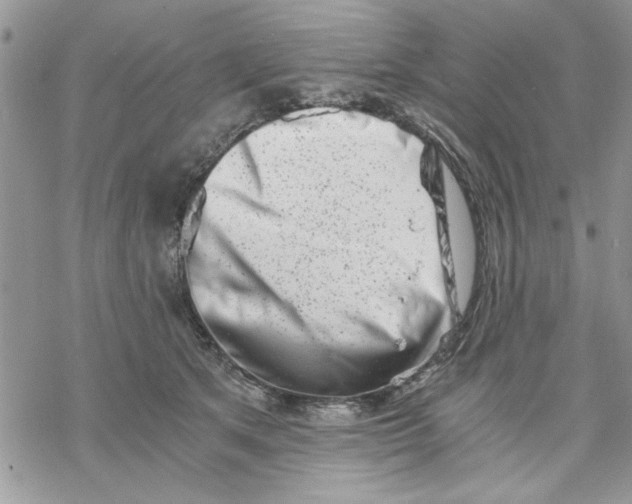 X0000069830513200606091449