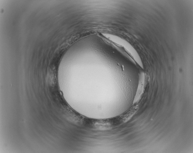 X0000069830515200606091449