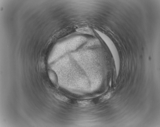 X0000069830516200606091449