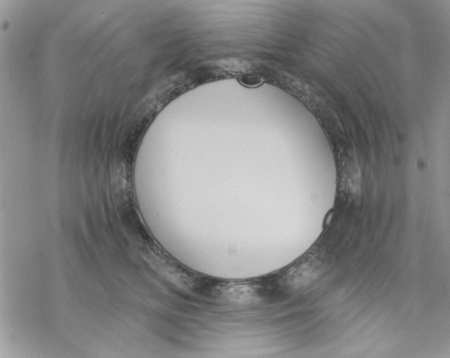 X0000069830518200606091449