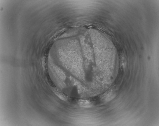 X0000069830519200606091449