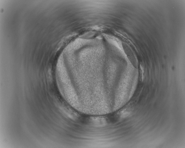 X0000069830520200606091449