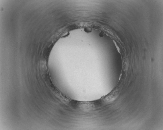 X0000069830521200606091449