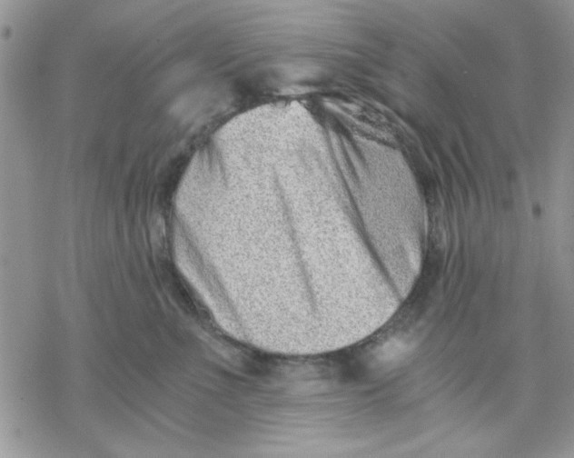 X0000069830523200606091449