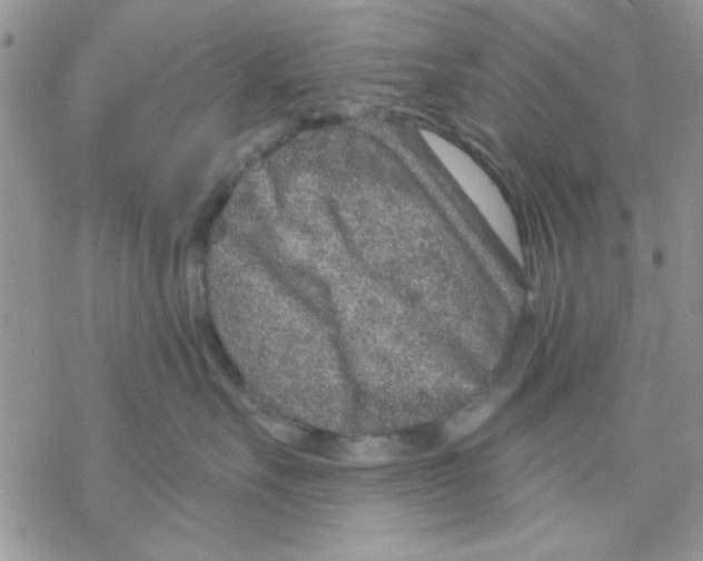 X0000069830527200606091449