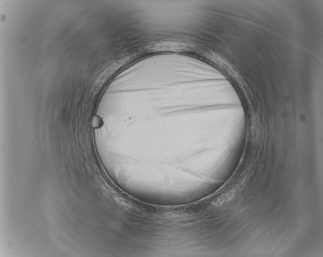 X0000069830529200606091448