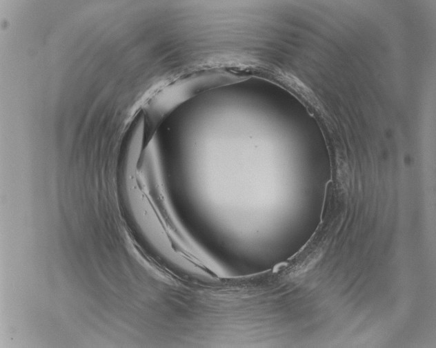 X0000069830530200606091448