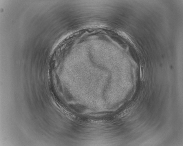 X0000069830531200606091448