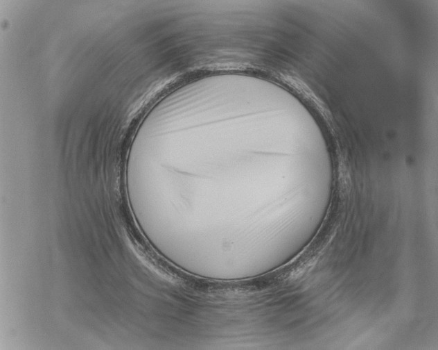 X0000069830533200606091448