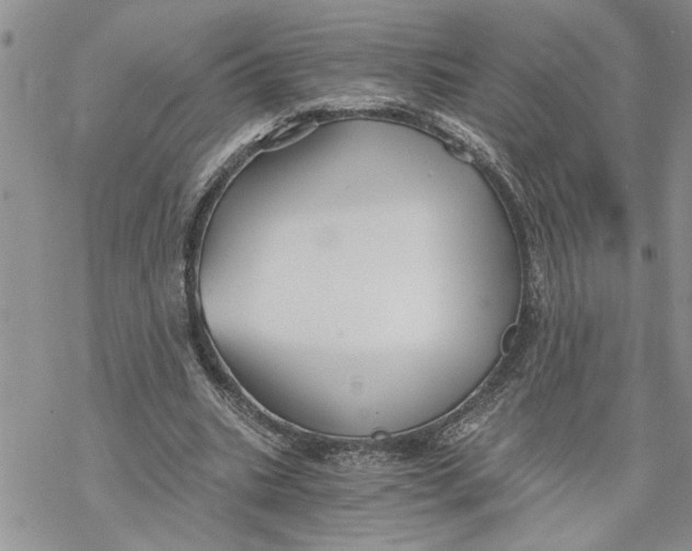 X0000069830535200606091448