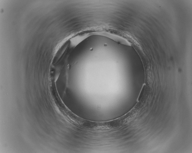 X0000069830536200606091448