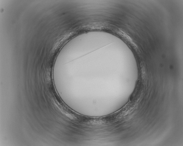 X0000069830537200606091448