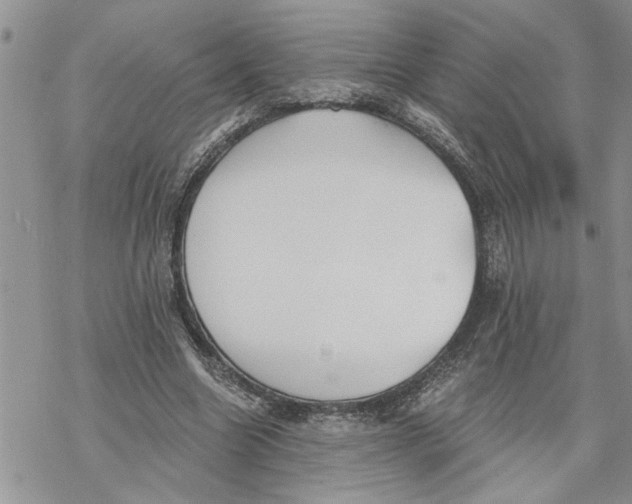 X0000069830538200606091448