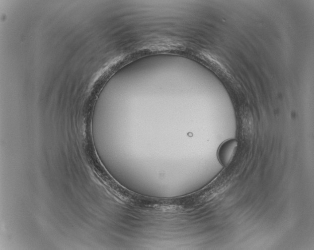 X0000069830539200606091448