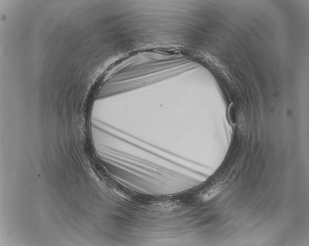 X0000069830540200606091448