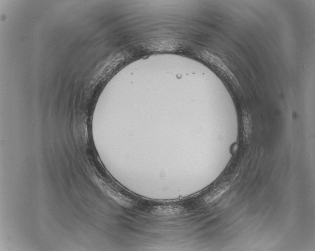 X0000069830541200606091448