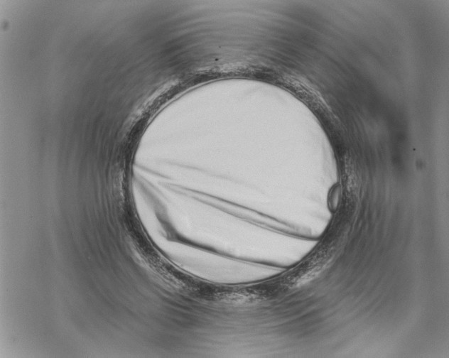 X0000069830542200606091448