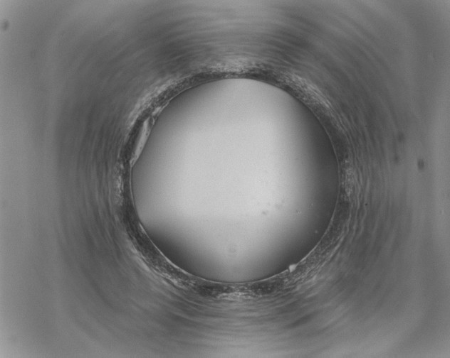 X0000069830544200606091448