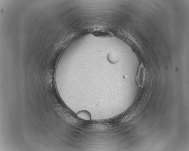 X0000069830545200606091448