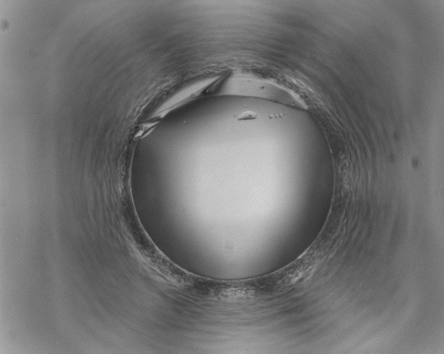 X0000069830546200606091448