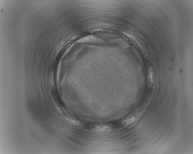 X0000069830547200606091448