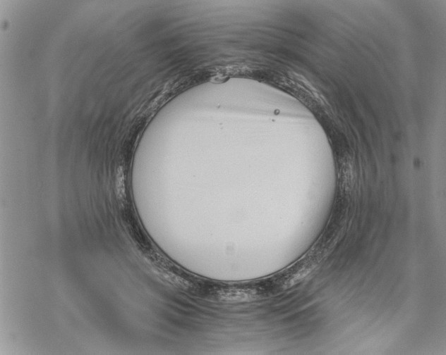 X0000069830549200606091448