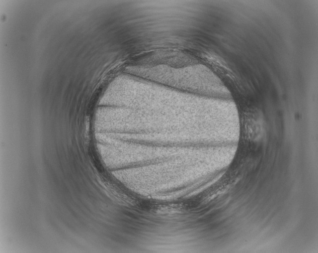 X0000069830550200606091448