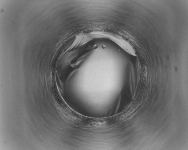 X0000069830552200606091448