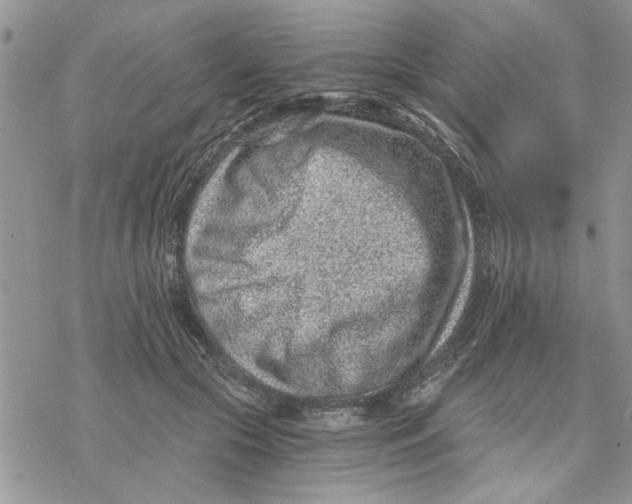 X0000069830553200606091448