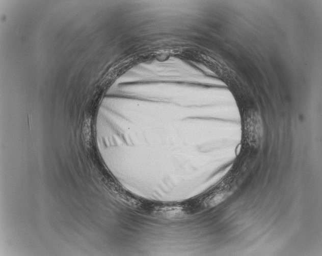 X0000069830554200606091448