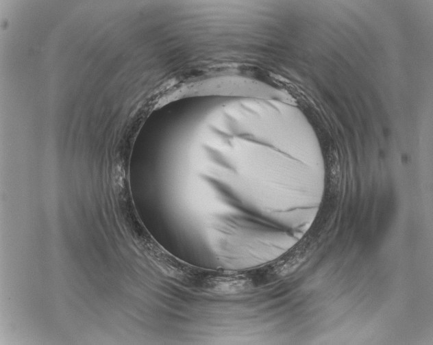 X0000069830555200606091448