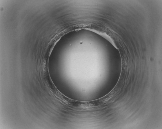 X0000069830556200606091448