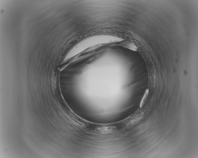 X0000069830558200606091448