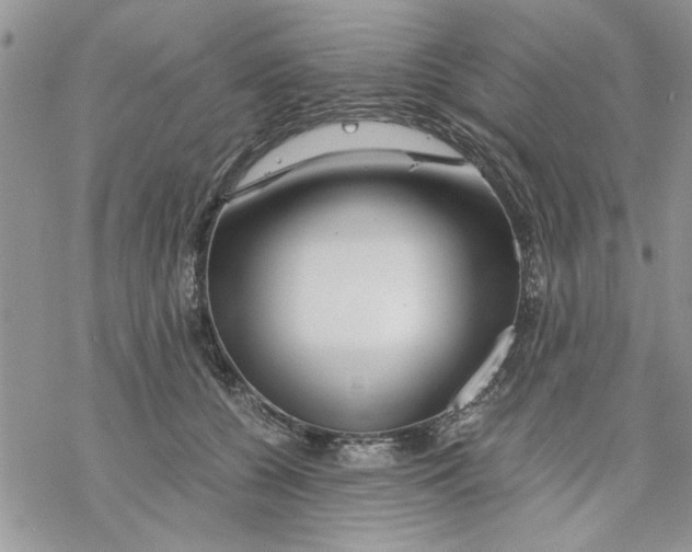 X0000069830560200606091448