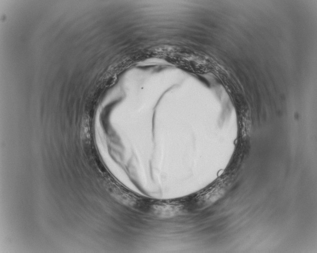 X0000069830561200606091448