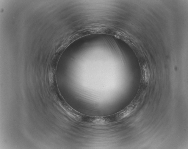 X0000069830562200606091448