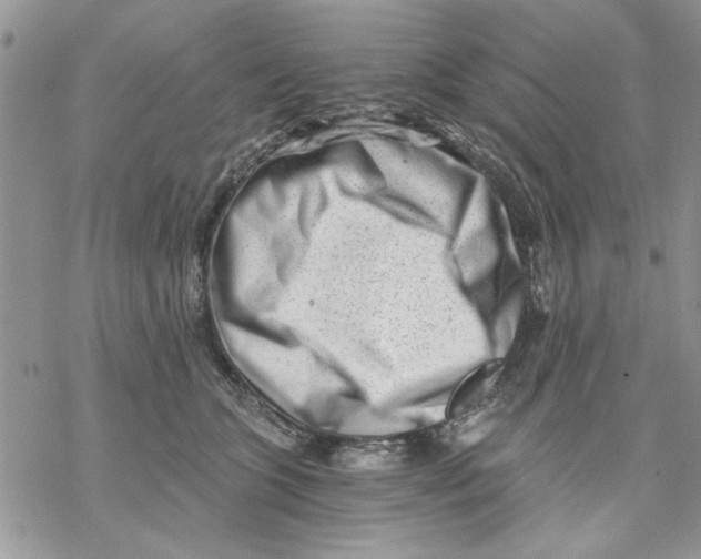 X0000069830563200606091448