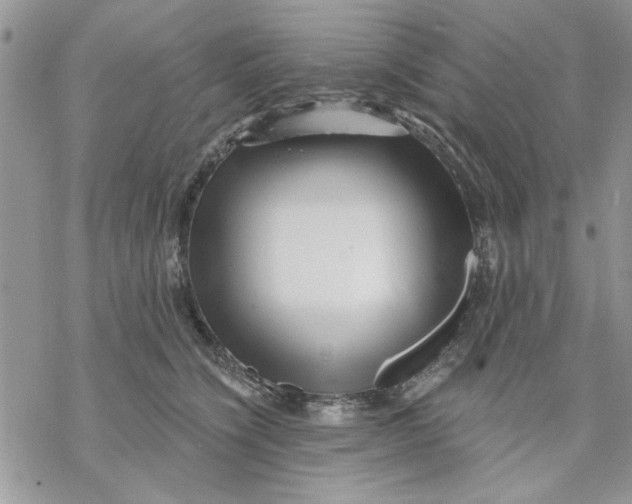 X0000069830564200606091448