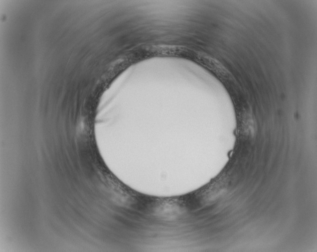 X0000069830569200606091449