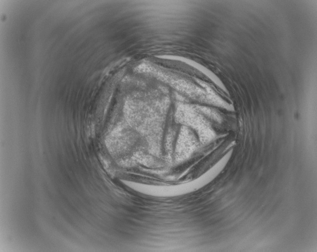 X0000069830570200606091449