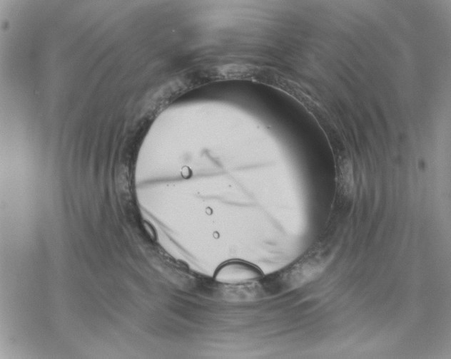 X0000069830571200606091449