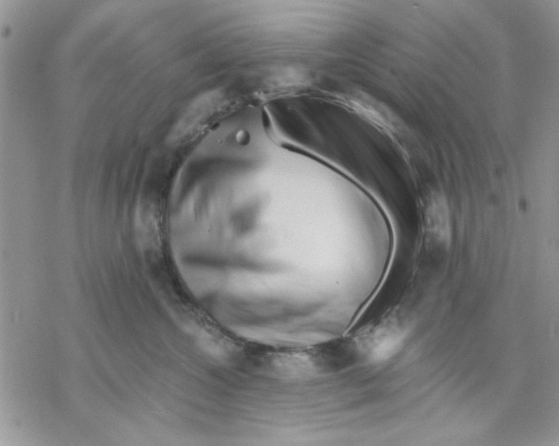 X0000069830572200606091449