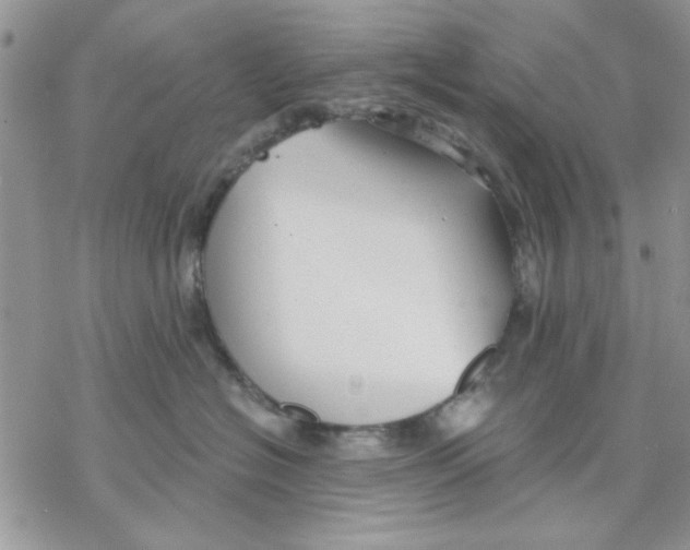 X0000069830574200606091449