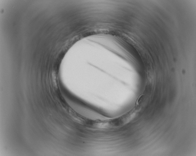 X0000069830575200606091449